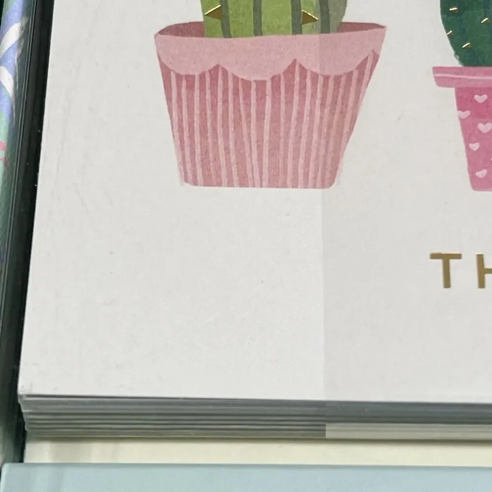 Clementine Cactus Thank You Cards and Pen Set of 16 Cards & Envelopes Succulents